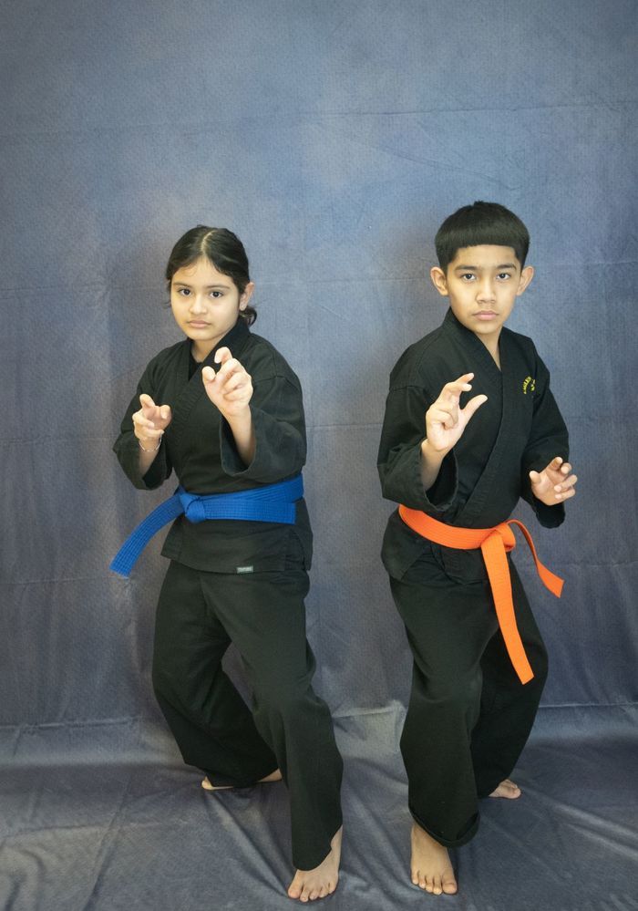 <center>Prevent Bullying and Threats Through Martial Arts Preparedness<center>